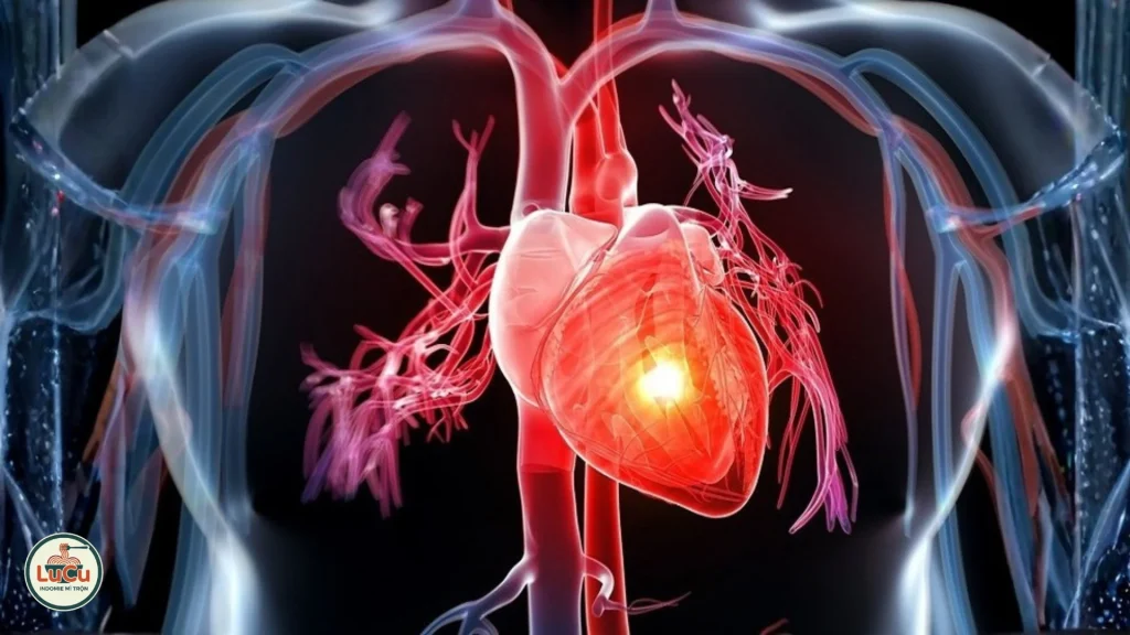 loại đồ ăn nào có lợi cho hệ tim mạch